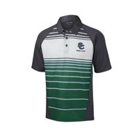 ADULT Swim & Dive - Men's Performance Sublimated Stripe Polo - Forest Green